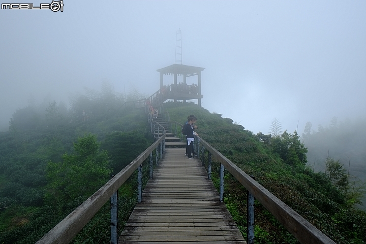 福特非試不可! 24小時免費試駕-1.0T Fiesta