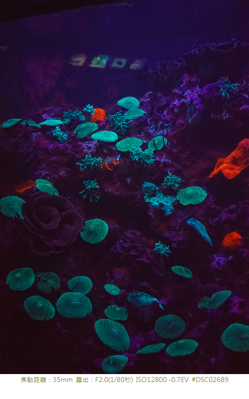 RX1R 沖縄美ら海水族館