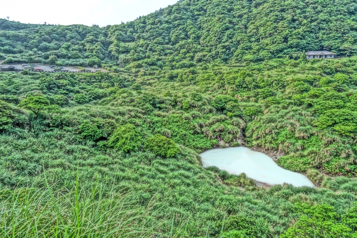 夢遊仙境之竹子湖、擎天崗行