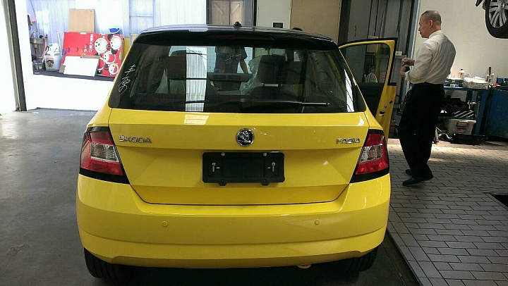 New Fabia 萊姆黃黑(雙色)