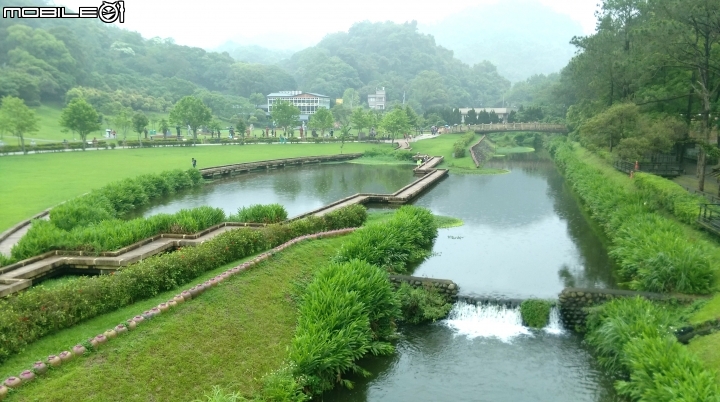 桃園阿姆坪.慈湖散步遊