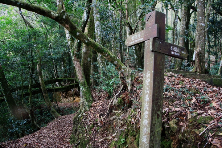 嘉南雲峰下豐山石盤谷單車O型環線