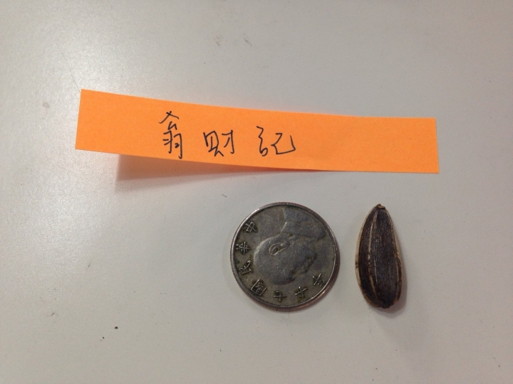 泡茶嗑瓜子大亂鬥之不負責任評比