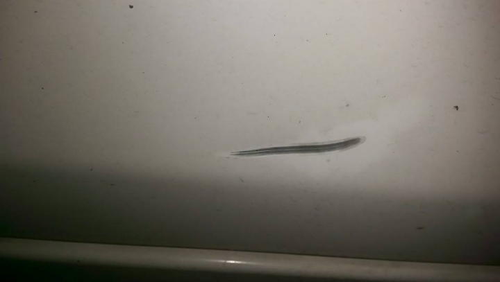 好大的刮傷,怎麼辦??