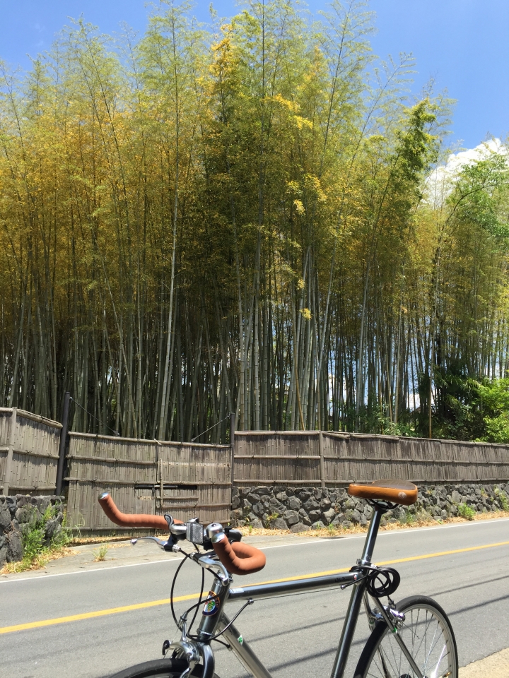 京都半日遊