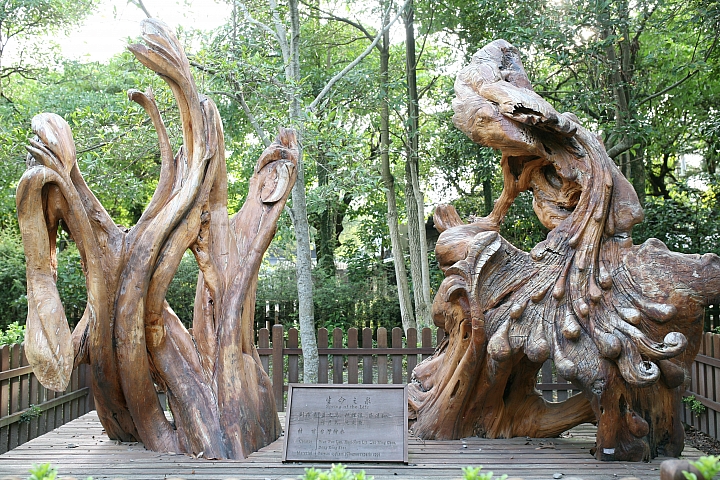 隨興的半日遊