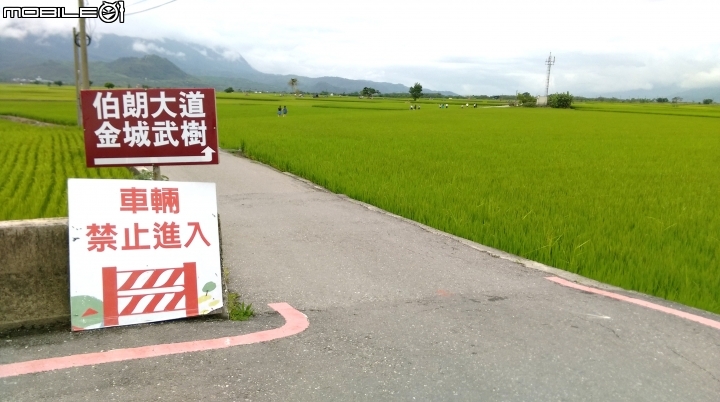 (台東)大波池伯郎大道散步遊