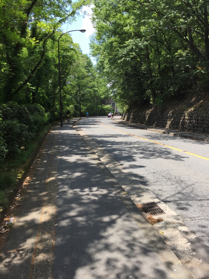 京都半日遊