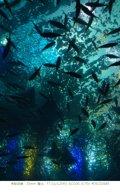 RX1R 沖縄美ら海水族館