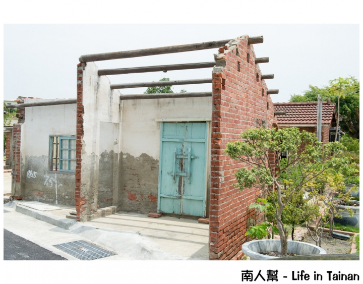 【台南市安南區-花木】安南區代天府旁#百年魚木#盛開中