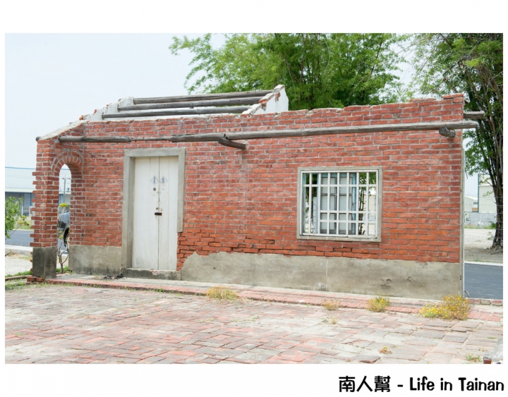 【台南市安南區-花木】安南區代天府旁#百年魚木#盛開中