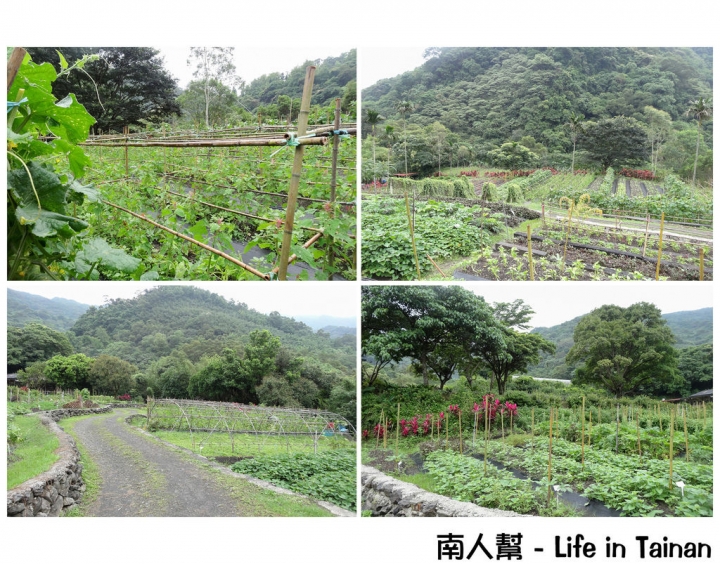 【宜蘭縣頭城鎮-住宿.農村生活】2天1夜農村生態體驗 #頭城休閒農場#