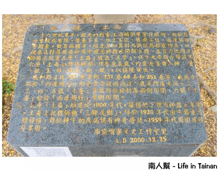 【台南市安南區-花木】安南區代天府旁#百年魚木#盛開中