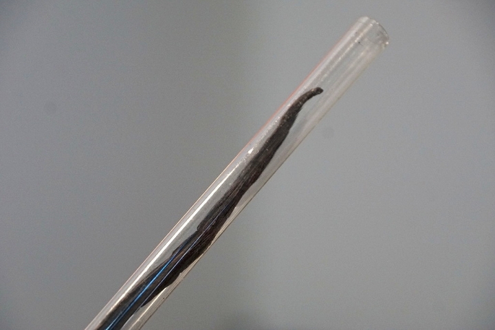[中西區] 波波熊 雪酪水果冰淇淋