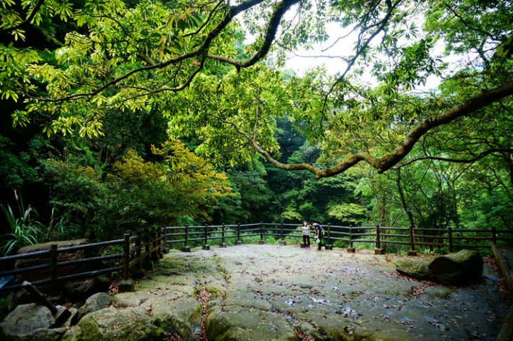 ▌新北三峽‧旅遊景點 ▌吸收芬多精的好所在【滿月圓森林國家公園】