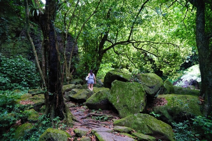 ▌新北石門‧旅遊景點 ▌台北近郊的熱門消暑勝地【青山瀑布】