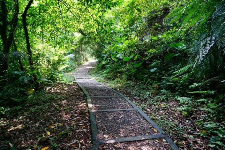 ▌基隆七堵‧旅遊景點 ▌瑪陵坑水上桐花密境【富民親水公園】