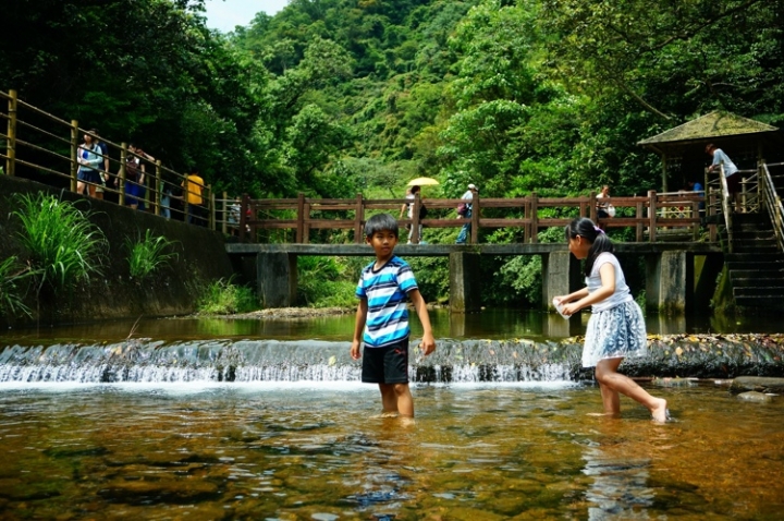 ▌基隆七堵‧旅遊景點 ▌瑪陵坑水上桐花密境【富民親水公園】
