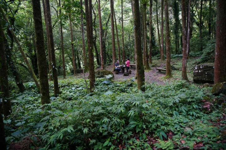 ▌新北三峽‧旅遊景點 ▌吸收芬多精的好所在【滿月圓森林國家公園】
