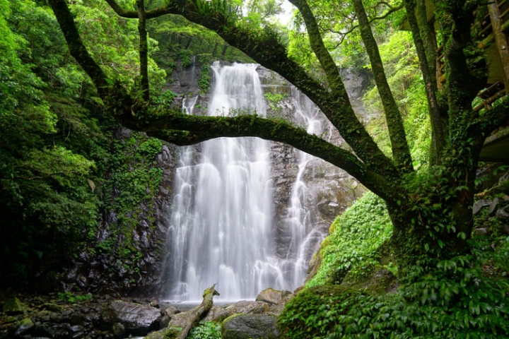 ▌新北三峽‧旅遊景點 ▌吸收芬多精的好所在【滿月圓森林國家公園】