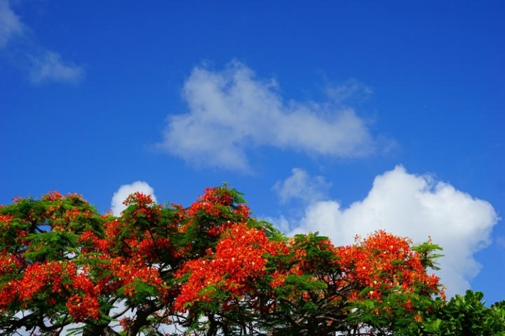 ▌屏東恆春‧旅遊景點 ▌好神奇的一把火【出火特別景觀區】