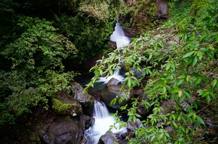 ▌新北三峽‧旅遊景點 ▌吸收芬多精的好所在【滿月圓森林國家公園】