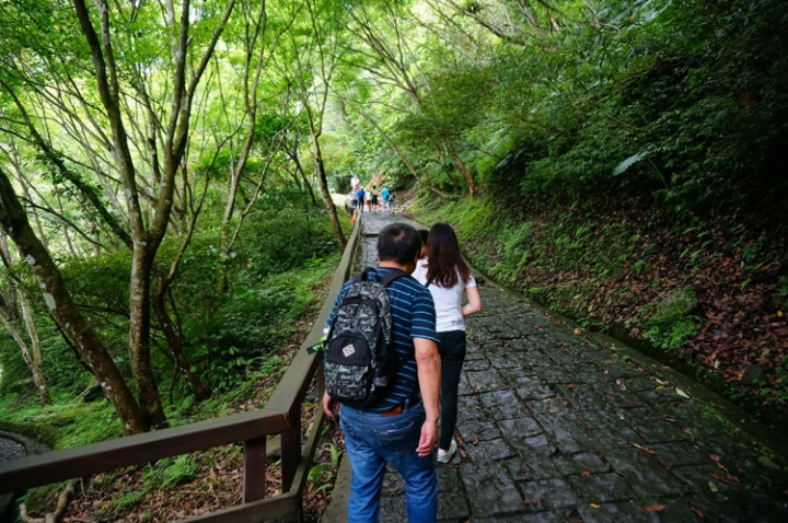 ▌新北三峽‧旅遊景點 ▌吸收芬多精的好所在【滿月圓森林國家公園】