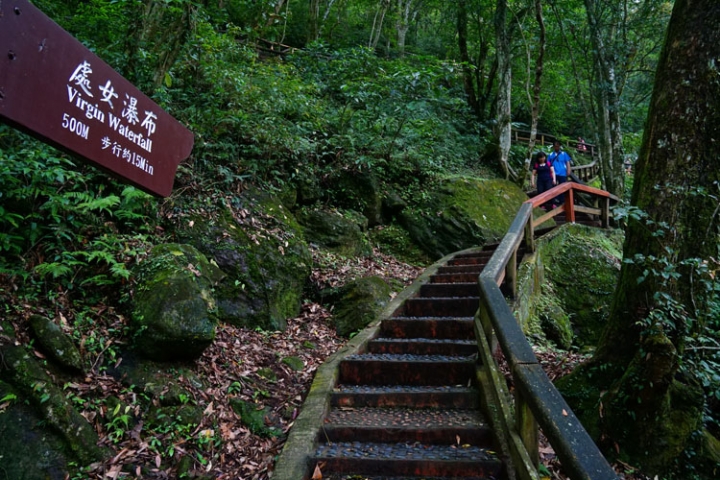 ▌新北三峽‧旅遊景點 ▌吸收芬多精的好所在【滿月圓森林國家公園】
