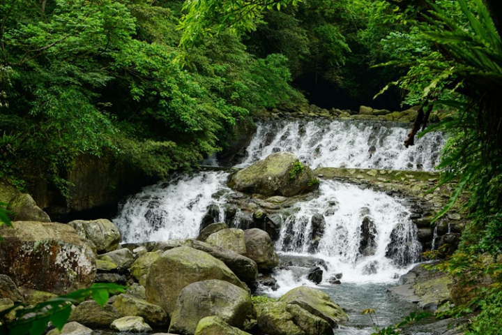 ▌新北三峽‧旅遊景點 ▌吸收芬多精的好所在【滿月圓森林國家公園】