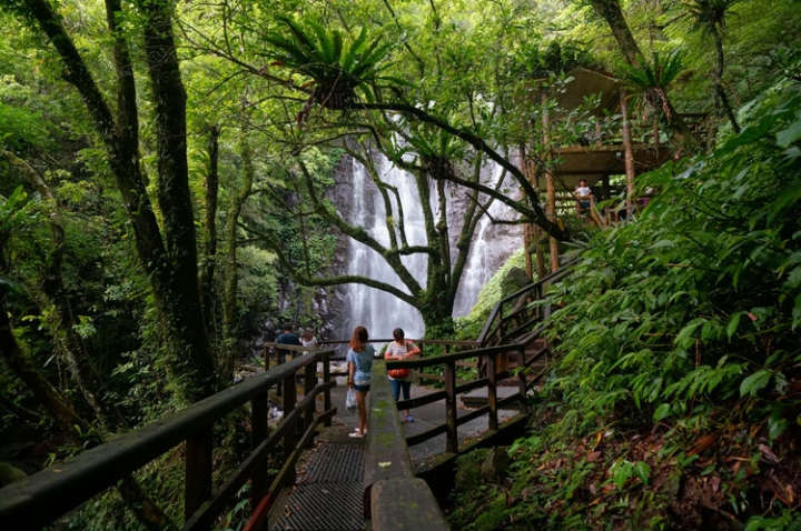 ▌新北三峽‧旅遊景點 ▌吸收芬多精的好所在【滿月圓森林國家公園】