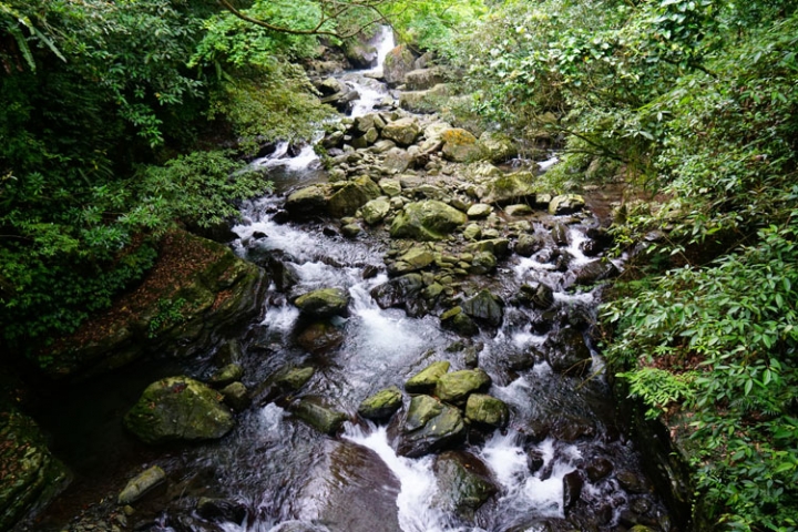 ▌新北三峽‧旅遊景點 ▌吸收芬多精的好所在【滿月圓森林國家公園】