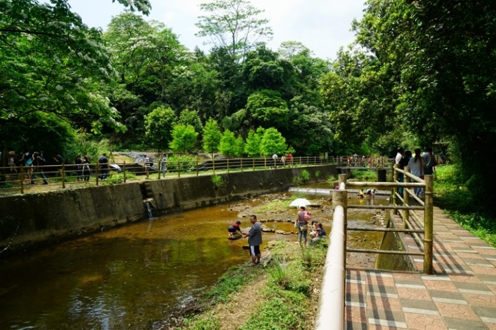 ▌基隆七堵‧旅遊景點 ▌瑪陵坑水上桐花密境【富民親水公園】