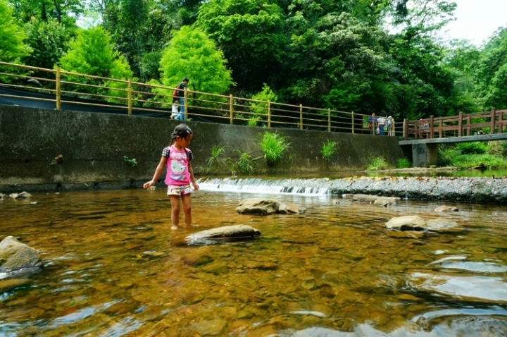 ▌基隆七堵‧旅遊景點 ▌瑪陵坑水上桐花密境【富民親水公園】