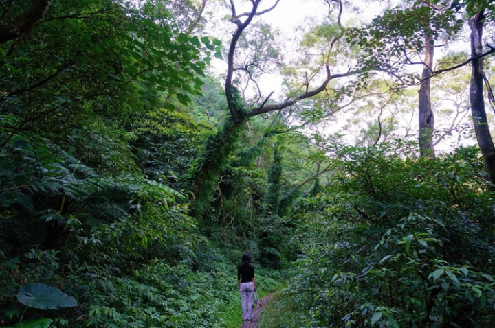 ▌宜蘭礁溪‧旅遊景點 ▌宜蘭礁溪裡的秘境【月眉坑瀑布】