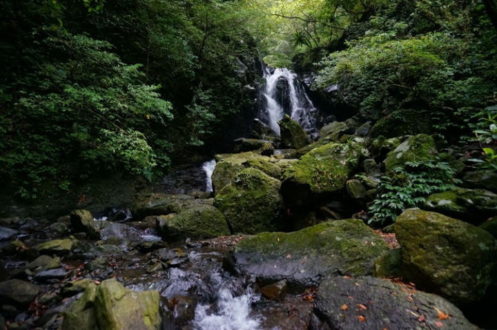 ▌新北三峽‧旅遊景點 ▌吸收芬多精的好所在【滿月圓森林國家公園】