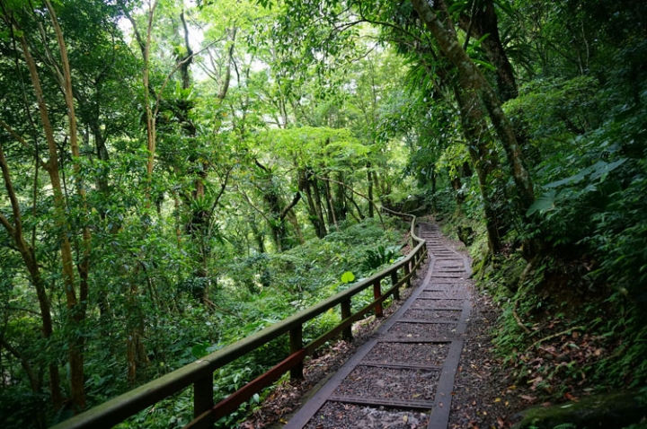 ▌新北三峽‧旅遊景點 ▌吸收芬多精的好所在【滿月圓森林國家公園】