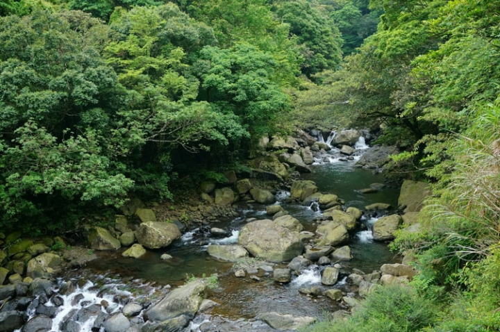 ▌新北三峽‧旅遊景點 ▌吸收芬多精的好所在【滿月圓森林國家公園】