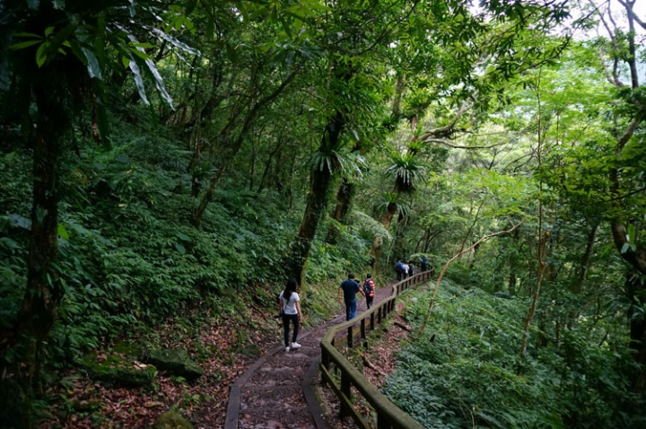 ▌新北三峽‧旅遊景點 ▌吸收芬多精的好所在【滿月圓森林國家公園】