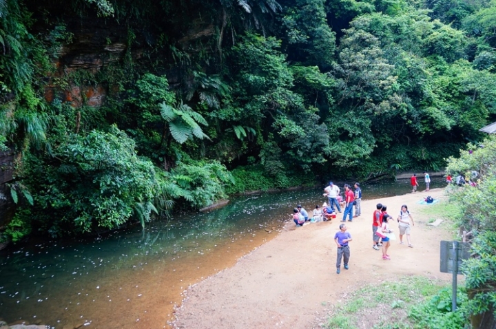 ▌基隆七堵‧旅遊景點 ▌瑪陵坑水上桐花密境【富民親水公園】