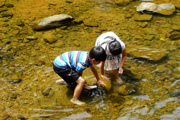 ▌基隆七堵‧旅遊景點 ▌瑪陵坑水上桐花密境【富民親水公園】