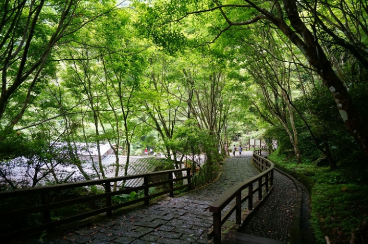▌新北三峽‧旅遊景點 ▌吸收芬多精的好所在【滿月圓森林國家公園】