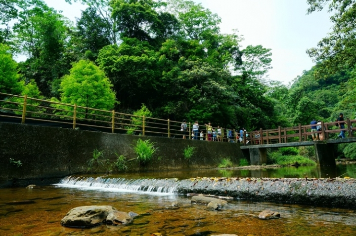 ▌基隆七堵‧旅遊景點 ▌瑪陵坑水上桐花密境【富民親水公園】