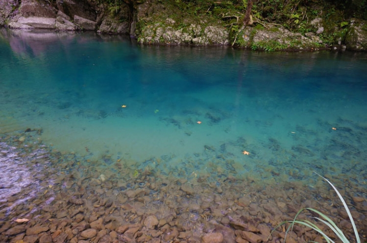 ▌新北烏來‧旅遊景點 ▌天然藍寶石的溪水【桶后溪小Q谷】