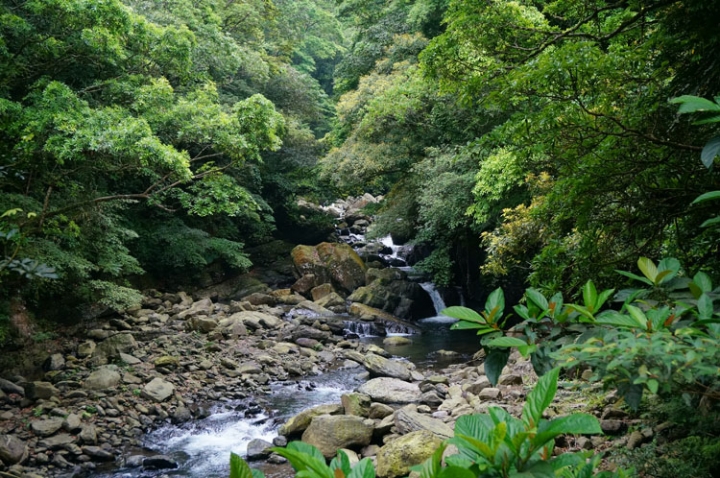 ▌新北三峽‧旅遊景點 ▌吸收芬多精的好所在【滿月圓森林國家公園】