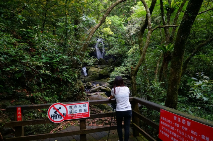 ▌新北三峽‧旅遊景點 ▌吸收芬多精的好所在【滿月圓森林國家公園】