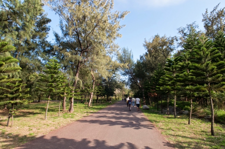 [遊] 花蓮・台東小旅行(林田山.伯朗大道.台東森林公園)