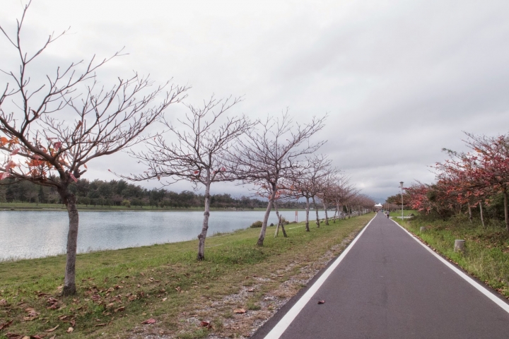 [遊] 花蓮・台東小旅行(林田山.伯朗大道.台東森林公園)