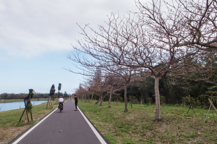 [遊] 花蓮・台東小旅行(林田山.伯朗大道.台東森林公園)