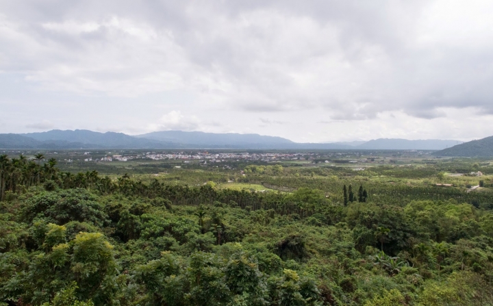 [遊] 花蓮・台東小旅行(林田山.伯朗大道.台東森林公園)