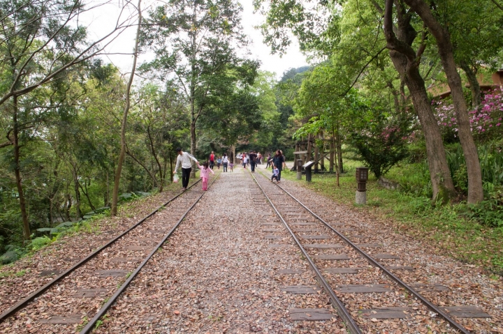 [遊] 花蓮・台東小旅行(林田山.伯朗大道.台東森林公園)